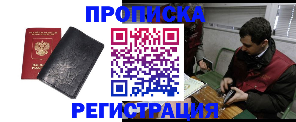 прописка поиск в Шадринске